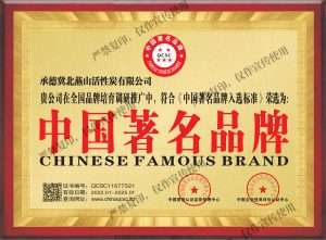 Chinese Famous Brand