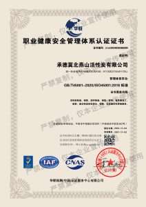 ISO 45001