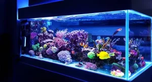 Aquarium filter activated carbon