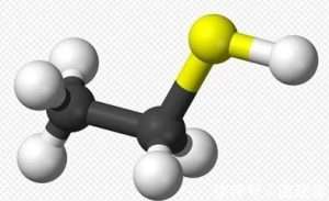 Removing thiols and fuel desulfurization