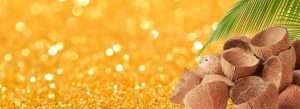 gold recovery activated carbon