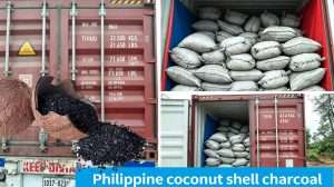 Premium Coconut Shell Activated Carbon from Reliable Philippine Sources