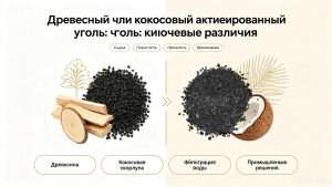 Древесный или кокосовый активированный уголь: ключевые различия и как выбрать подходящий вариант